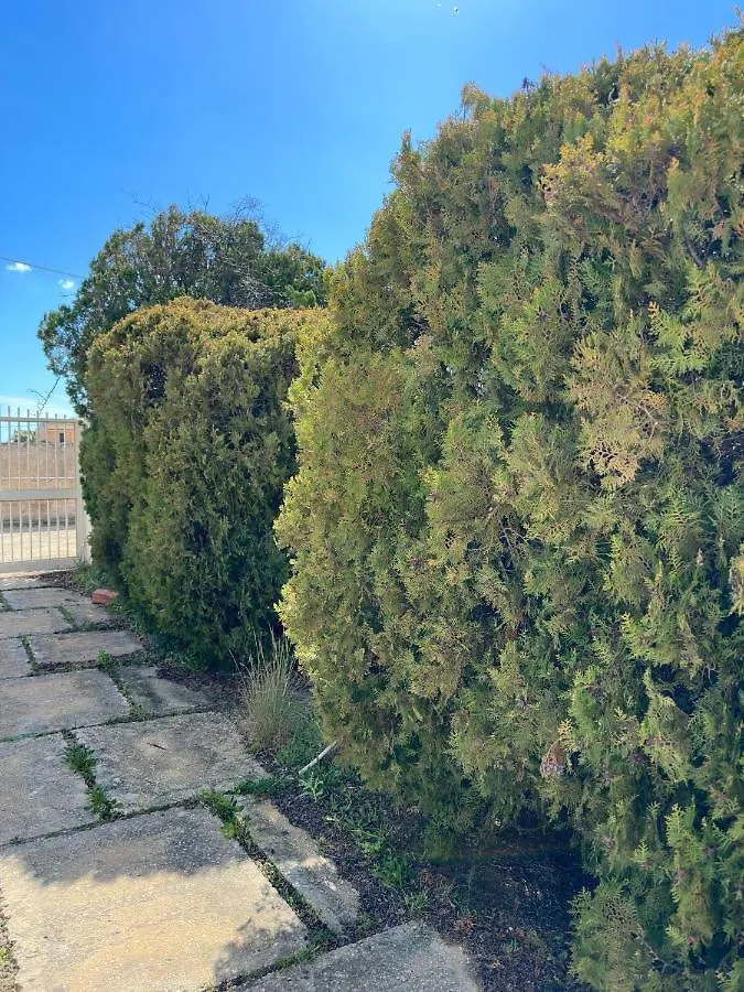 Villa Emerald מרצאממי איטליה
